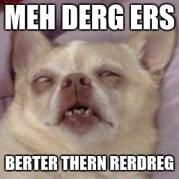Raydog's rival | MEH DERG ERS; BERTER THERN RERDREG | image tagged in raydogs rival | made w/ Imgflip meme maker
