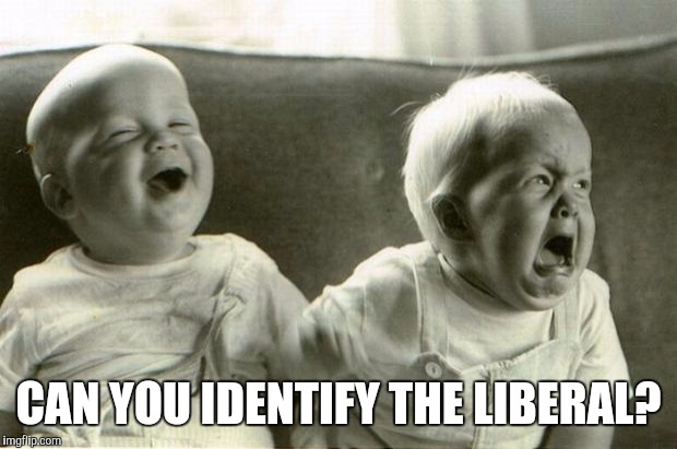 HappySadBabies | CAN YOU IDENTIFY THE LIBERAL? | image tagged in happysadbabies | made w/ Imgflip meme maker