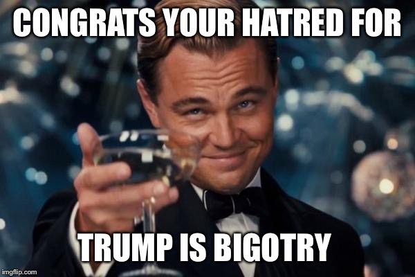 Leonardo Dicaprio Cheers Meme | CONGRATS YOUR HATRED FOR TRUMP IS BIGOTRY | image tagged in memes,leonardo dicaprio cheers | made w/ Imgflip meme maker