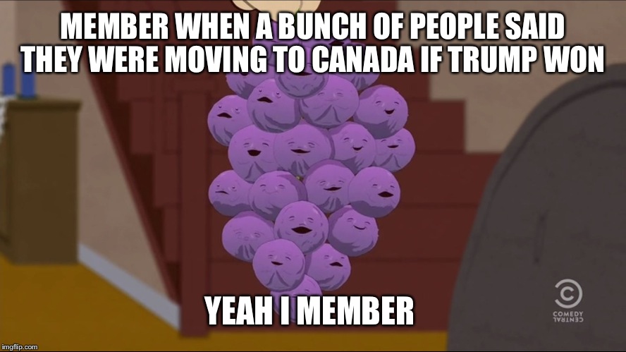 Member Berries Meme | MEMBER WHEN A BUNCH OF PEOPLE SAID THEY WERE MOVING TO CANADA IF TRUMP WON YEAH I MEMBER | image tagged in memes,member berries | made w/ Imgflip meme maker