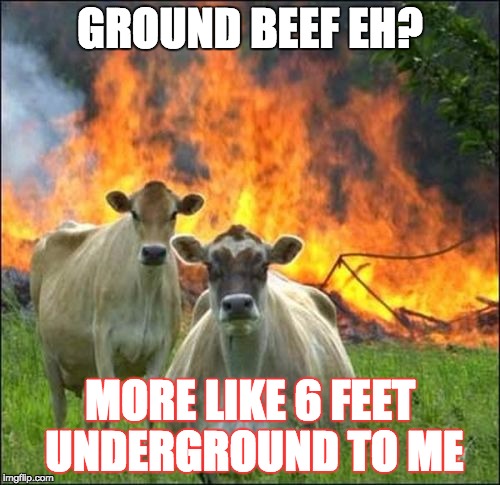 No More Hamburgers! | GROUND BEEF EH? MORE LIKE 6 FEET UNDERGROUND TO ME | image tagged in memes,evil cows | made w/ Imgflip meme maker