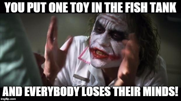 And everybody loses their minds | YOU PUT ONE TOY IN THE FISH TANK; AND EVERYBODY LOSES THEIR MINDS! | image tagged in memes,and everybody loses their minds | made w/ Imgflip meme maker