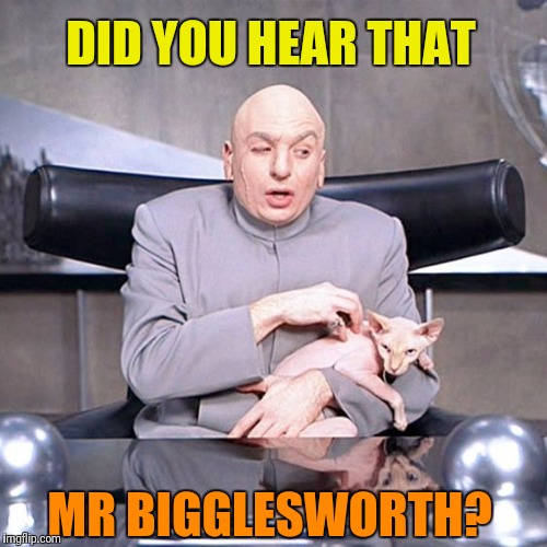 DID YOU HEAR THAT MR BIGGLESWORTH? | made w/ Imgflip meme maker