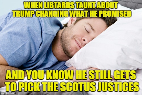 Trump Zen | WHEN LIBTARDS TAUNT ABOUT TRUMP CHANGING WHAT HE PROMISED; AND YOU KNOW HE STILL GETS TO PICK THE SCOTUS JUSTICES | image tagged in trump zen | made w/ Imgflip meme maker