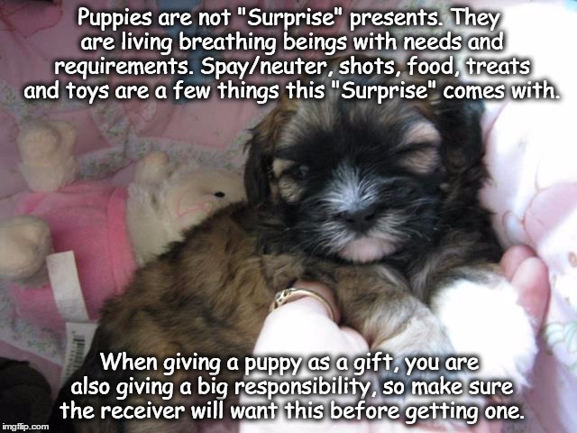Puppies are not "Surprise" presents. They are living breathing beings with needs and requirements. Spay/neuter, shots, food, treats and toys are a few things this "Surprise" comes with. When giving a puppy as a gift, you are also giving a big responsibility, so make sure the receiver will want this before getting one. | image tagged in pets,responsibilities,puppies | made w/ Imgflip meme maker