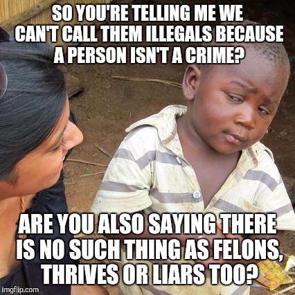 Third World Skeptical Kid | SO YOU'RE TELLING ME WE CAN'T CALL THEM ILLEGALS BECAUSE A PERSON ISN'T A CRIME? ARE YOU ALSO SAYING THERE IS NO SUCH THING AS FELONS, THRIVES OR LIARS TOO? | image tagged in memes,third world skeptical kid | made w/ Imgflip meme maker