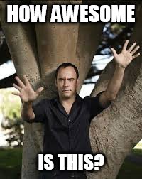 DAVE MATTHEWS HOW AWESOME IS THIS? | HOW AWESOME; IS THIS? | image tagged in dave matthews,how awesome is this | made w/ Imgflip meme maker
