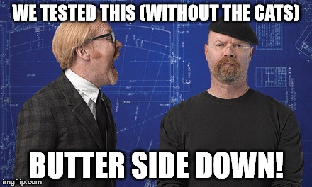 WE TESTED THIS (WITHOUT THE CATS) BUTTER SIDE DOWN! | made w/ Imgflip meme maker