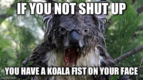 Angry Koala | IF YOU NOT SHUT UP; YOU HAVE A KOALA FIST ON YOUR FACE | image tagged in memes,angry koala | made w/ Imgflip meme maker