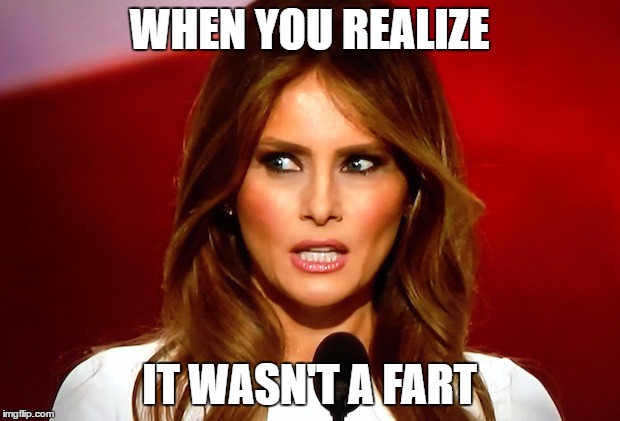 Melania trump  | WHEN YOU REALIZE; IT WASN'T A FART | image tagged in melania trump | made w/ Imgflip meme maker