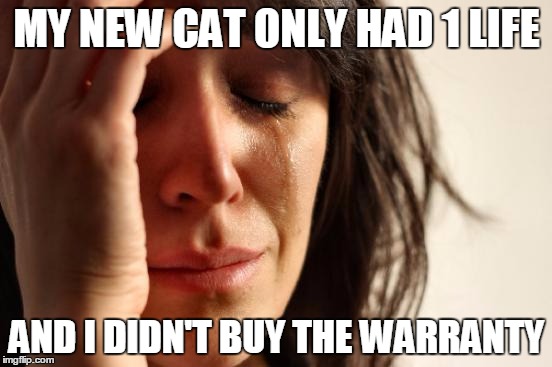 First World Problems | MY NEW CAT ONLY HAD 1 LIFE; AND I DIDN'T BUY THE WARRANTY | image tagged in memes,first world problems | made w/ Imgflip meme maker