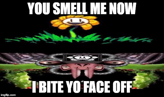 YOU SMELL ME NOW; I BITE YO FACE OFF | image tagged in flowey,omega flowey,flower,funny,hilarious | made w/ Imgflip meme maker