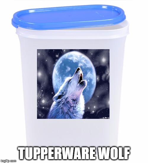 Tupperware Wolf | TUPPERWARE WOLF | image tagged in memes,werewolf,tupperware,plastic,wolf | made w/ Imgflip meme maker