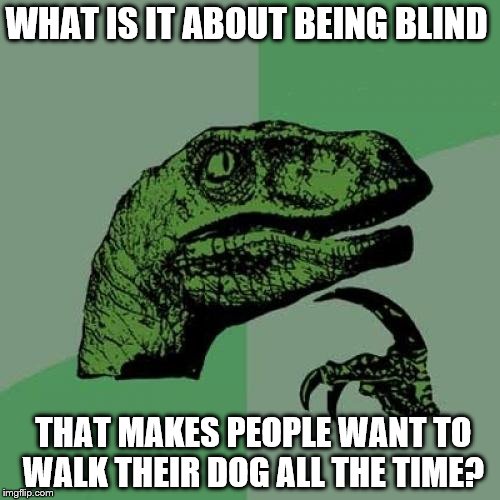 Philosoraptor Meme | WHAT IS IT ABOUT BEING BLIND; THAT MAKES PEOPLE WANT TO WALK THEIR DOG ALL THE TIME? | image tagged in memes,philosoraptor | made w/ Imgflip meme maker