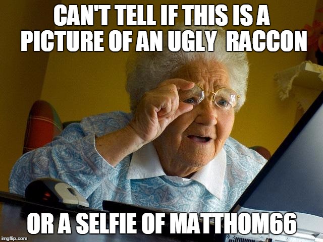 Grandma Finds The Internet Meme | CAN'T TELL IF THIS IS A PICTURE OF AN UGLY  RACCON; OR A SELFIE OF MATTHOM66 | image tagged in memes,grandma finds the internet | made w/ Imgflip meme maker