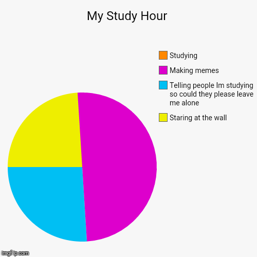 image tagged in funny,pie charts | made w/ Imgflip chart maker