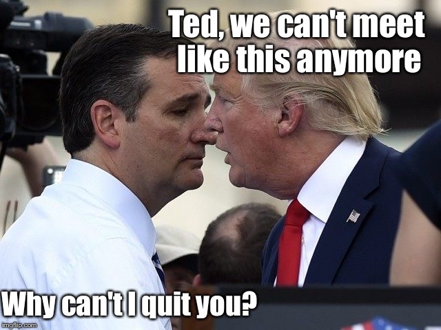 TRUMP CRUZ | Ted, we can't meet like this anymore; Why can't I quit you? | image tagged in trump cruz,memes | made w/ Imgflip meme maker