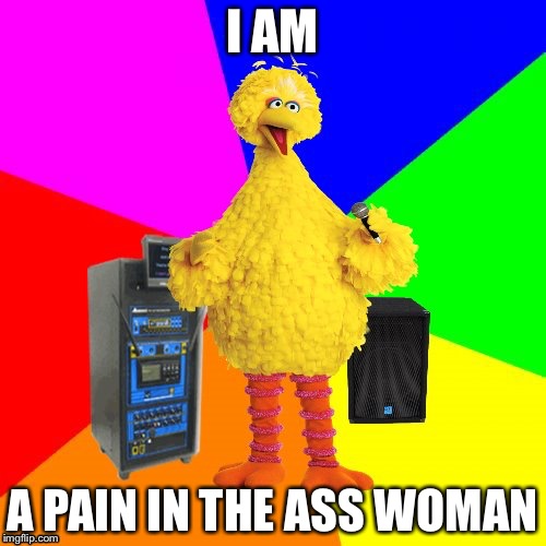 Wrong lyrics karaoke big bird | I AM; A PAIN IN THE ASS WOMAN | image tagged in wrong lyrics karaoke big bird,ariana grande | made w/ Imgflip meme maker