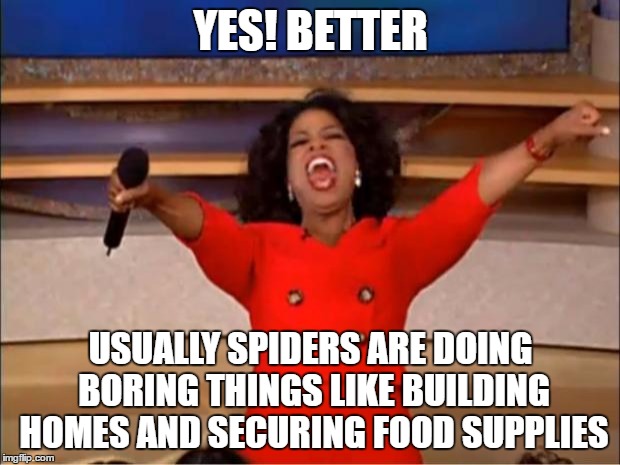 Oprah You Get A Meme | YES! BETTER USUALLY SPIDERS ARE DOING BORING THINGS LIKE BUILDING HOMES AND SECURING FOOD SUPPLIES | image tagged in memes,oprah you get a | made w/ Imgflip meme maker