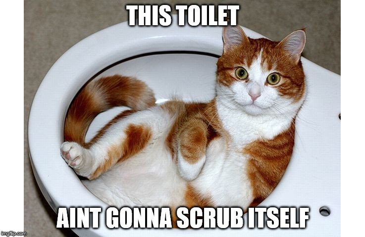 Funny Cat | THIS TOILET; AINT GONNA SCRUB ITSELF | image tagged in mr clean | made w/ Imgflip meme maker