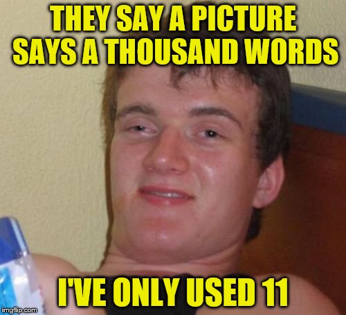 10 Guy Meme | THEY SAY A PICTURE SAYS A THOUSAND WORDS; I'VE ONLY USED 11 | image tagged in memes,10 guy | made w/ Imgflip meme maker