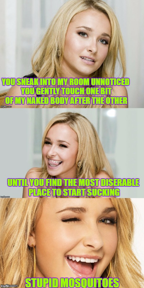 Bad Pun Hayden Panettiere |  YOU SNEAK INTO MY ROOM UNNOTICED YOU GENTLY TOUCH ONE BIT OF MY NAKED BODY AFTER THE OTHER; UNTIL YOU FIND THE MOST DISERABLE PLACE TO START SUCKING; STUPID MOSQUITOES | image tagged in bad pun hayden panettiere | made w/ Imgflip meme maker