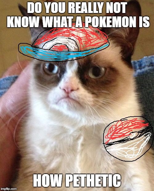 Grumpy Cat Meme | DO YOU REALLY NOT KNOW WHAT A POKEMON IS; HOW PETHETIC | image tagged in memes,grumpy cat | made w/ Imgflip meme maker