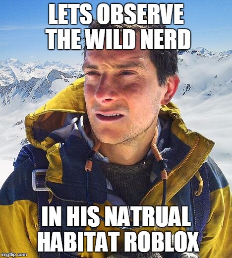 Bear Grylls Meme Imgflip - habitat maker roblox