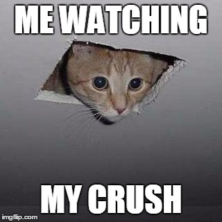 Ceiling Cat | ME WATCHING; MY CRUSH | image tagged in memes,ceiling cat | made w/ Imgflip meme maker