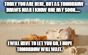 TODAY YOU ARE HERE, BUT AS TOMORROW DRAWS NEAR I KNOW ONE DAY SOON..... I WILL HAVE TO LET YOU GO, I HOPE                           TOMORROW WILL WAIT. | image tagged in let go | made w/ Imgflip meme maker