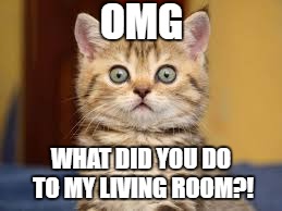 OMG; WHAT DID YOU DO TO MY LIVING ROOM?! | image tagged in funny,meme,living room | made w/ Imgflip meme maker
