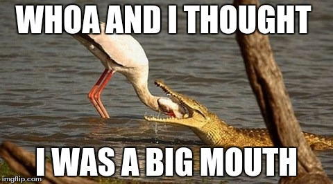 big mouth | WHOA AND I THOUGHT; I WAS A BIG MOUTH | image tagged in crocodile,aligator,goose,chicken,sharp | made w/ Imgflip meme maker