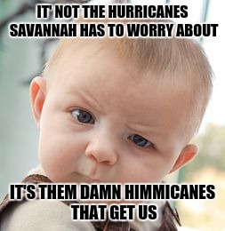 Skeptical Baby Meme | IT' NOT THE HURRICANES SAVANNAH HAS TO WORRY ABOUT; IT'S THEM DAMN HIMMICANES THAT GET US | image tagged in memes,skeptical baby | made w/ Imgflip meme maker