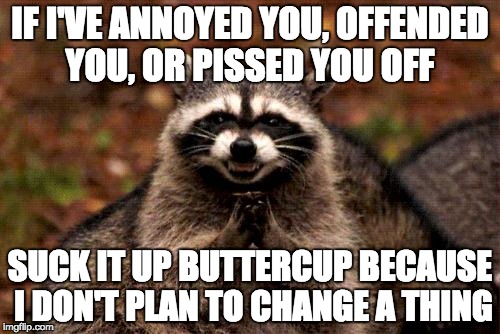 Liberals, Muslims, Global Warming Freaks, Statists, Socialists, Snowflakes, etc ... | IF I'VE ANNOYED YOU, OFFENDED YOU, OR PISSED YOU OFF; SUCK IT UP BUTTERCUP BECAUSE I DON'T PLAN TO CHANGE A THING | image tagged in memes,evil plotting raccoon | made w/ Imgflip meme maker