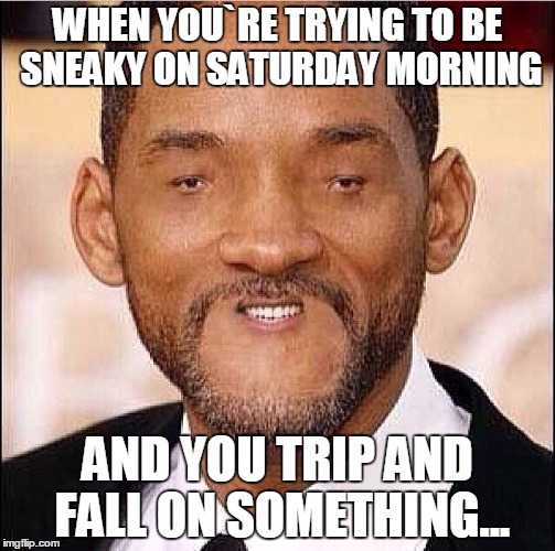 Woll Smoth | WHEN YOU`RE TRYING TO BE SNEAKY ON SATURDAY MORNING; AND YOU TRIP AND FALL ON SOMETHING... | image tagged in woll smoth,sneaky,funny,trip,fall,saturday morning | made w/ Imgflip meme maker
