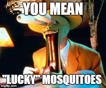 YOU MEAN "LUCKY" MOSQUITOES | made w/ Imgflip meme maker