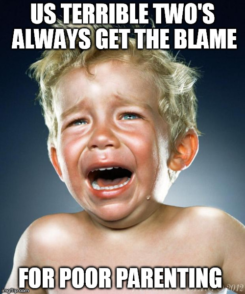 Poor Parenting not Terrible Two's | US TERRIBLE TWO'S ALWAYS GET THE BLAME; FOR POOR PARENTING | image tagged in crying child,dysfunctional family,poor parent,bully,angelic child | made w/ Imgflip meme maker