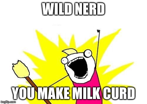 X All The Y Meme | WILD NERD YOU MAKE MILK CURD | image tagged in memes,x all the y | made w/ Imgflip meme maker