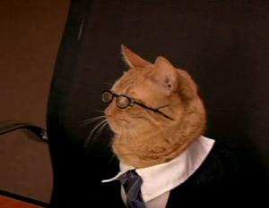 Lawyer Cat Blank Meme Template