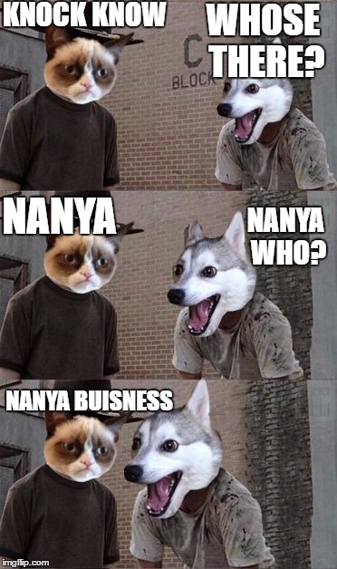 The Trick Of Buisness Is, You Have To Mind Your Own! | KNOCK KNOW; WHOSE THERE? NANYA; NANYA WHO? NANYA BUISNESS | image tagged in grumpy cat and bad pun dog,memes | made w/ Imgflip meme maker