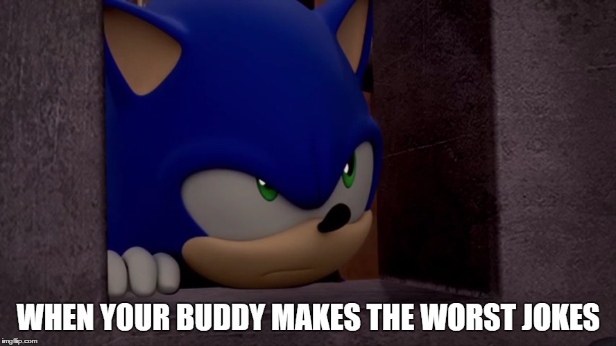Sonic is Not Impressed - Sonic Boom | WHEN YOUR BUDDY MAKES THE WORST JOKES | image tagged in sonic is not impressed - sonic boom | made w/ Imgflip meme maker