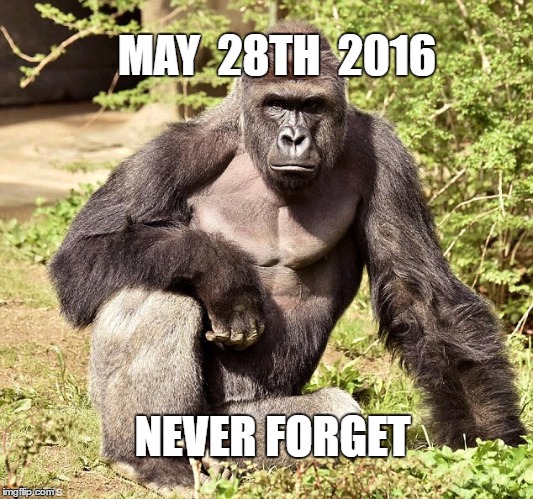 never forget | MAY  28TH  2016; NEVER FORGET | image tagged in never forget | made w/ Imgflip meme maker