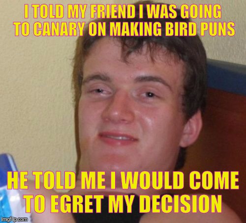 He was correct | I TOLD MY FRIEND I WAS GOING TO CANARY ON MAKING BIRD PUNS; HE TOLD ME I WOULD COME TO EGRET MY DECISION | image tagged in memes,10 guy | made w/ Imgflip meme maker