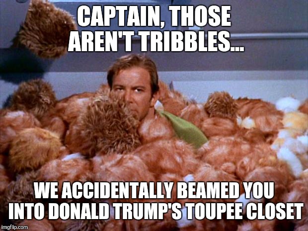 Kirk Tribbles | CAPTAIN, THOSE AREN'T TRIBBLES... WE ACCIDENTALLY BEAMED YOU INTO DONALD TRUMP'S TOUPEE CLOSET | image tagged in kirk tribbles,memes,star trek | made w/ Imgflip meme maker