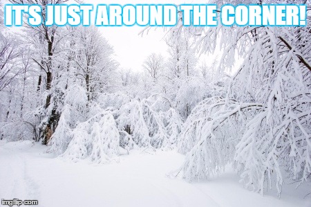 winter | IT'S JUST AROUND THE CORNER! | image tagged in cold,winter | made w/ Imgflip meme maker