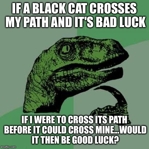 Philosoraptor Meme | IF A BLACK CAT CROSSES MY PATH AND IT'S BAD LUCK; IF I WERE TO CROSS ITS PATH BEFORE IT COULD CROSS MINE...WOULD IT THEN BE GOOD LUCK? | image tagged in memes,philosoraptor | made w/ Imgflip meme maker