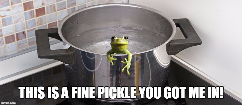 THIS IS A FINE PICKLE YOU GOT ME IN! | image tagged in boiling frog | made w/ Imgflip meme maker