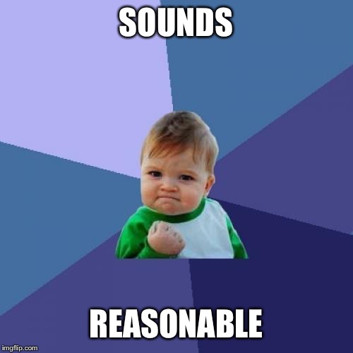 Success Kid | SOUNDS; REASONABLE | image tagged in memes,success kid | made w/ Imgflip meme maker