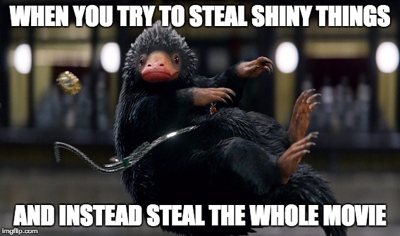 Niffler steals the movie | WHEN YOU TRY TO STEAL SHINY THINGS; AND INSTEAD STEAL THE WHOLE MOVIE | image tagged in harry potter,fantastic beasts and where to find them,niffler,shiny,ooo something shiny,magical | made w/ Imgflip meme maker