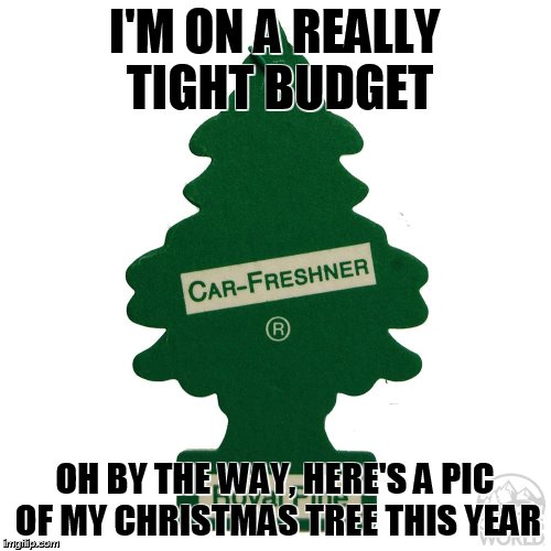 Oh, Christmas tree | I'M ON A REALLY TIGHT BUDGET; OH BY THE WAY, HERE'S A PIC OF MY CHRISTMAS TREE THIS YEAR | image tagged in christmas | made w/ Imgflip meme maker